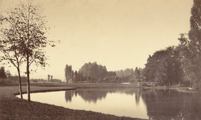 Bois de Boulogne, 1858 (foto) af Charles Marville