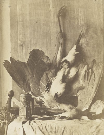 Game Still Life, ca. 1853-55 (albuminiseret saltet papirtryk) af Charles Marville
