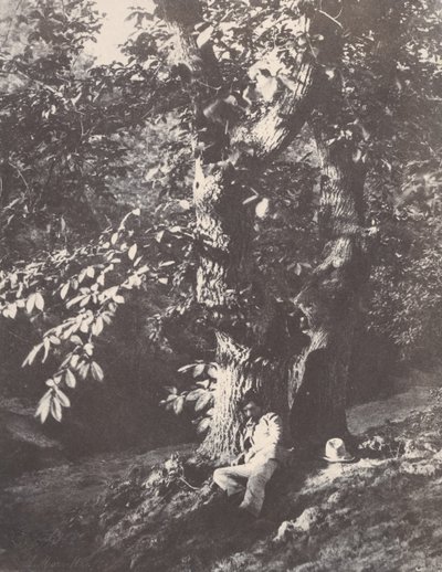 Mand tilbagelænet ved foden af ​​et kastanjetræ, 1850-53. af Charles Marville