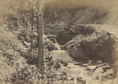 [Den schweiziske dal i St. Goarshausen] af Charles Marville