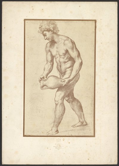[Mand med vase af Raphaël] af Charles Marville