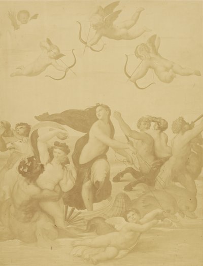 [Reproduktion af Galatea af Raphaël]. af Charles Marville