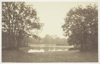 Uden titel af Charles Marville