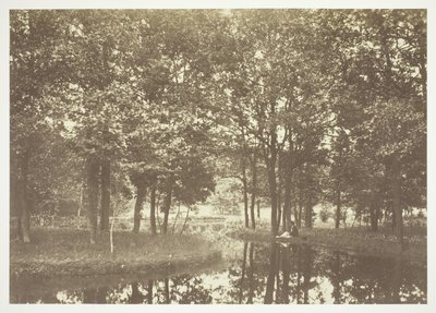 Uden titel af Charles Marville