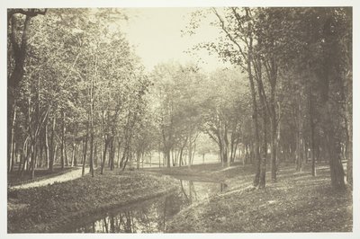 Uden titel af Charles Marville
