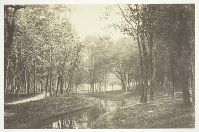 Uden titel, c. 1850. [Træer nær vand i Bois de Boulogne, en park i Paris]. af Charles Marville