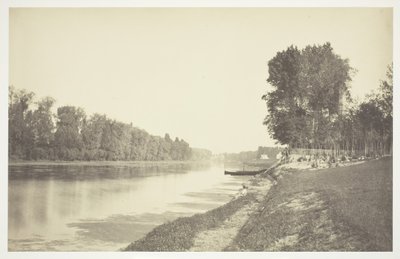 Uden titel, c. 1850. [Træer nær vand i Bois de Boulogne, en park i Paris]. af Charles Marville