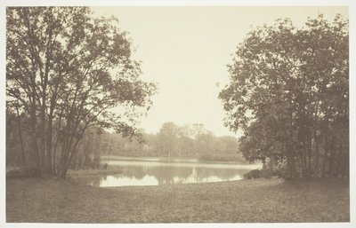 Uden titel, c. 1850. [Træer nær vand i Bois de Boulogne, en park i Paris]. af Charles Marville
