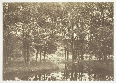 Uden titel, c. 1850. [Træer nær vand i Bois de Boulogne, en park i Paris]. af Charles Marville