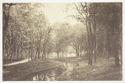 Uden titel af Charles Marville