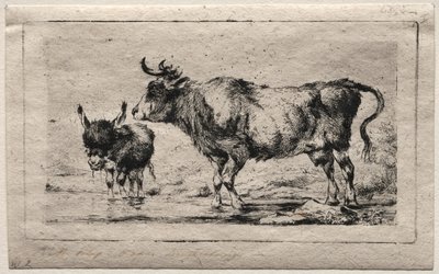Ko og Æsel, 1849. af Charles Meryon