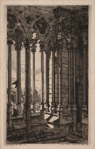 Etchings of Paris: The Gallery of Notre Dame, 1853. af Charles Meryon