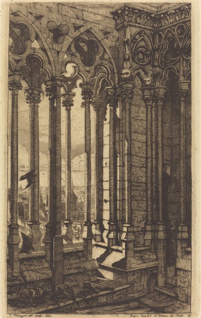 The Gallery of Notre Dame, Paris (The Gallery of Notre Dame, Paris) af Charles Meryon