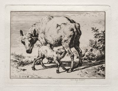 Moden med to lam, 1850. af Charles Meryon