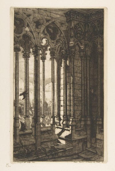 Galleriet, Notre-Dame-katedralen, Paris, fra »Raderinger af Paris« af Charles Meryon