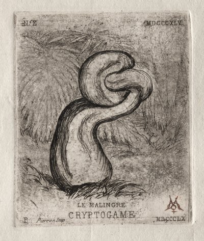 Det sygelige kryptogam, 1860. af Charles Meryon
