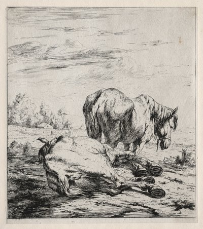 De to heste, 1850. af Charles Meryon