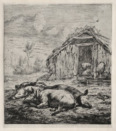 Tre svin, der ligger foran en stald af Charles Meryon