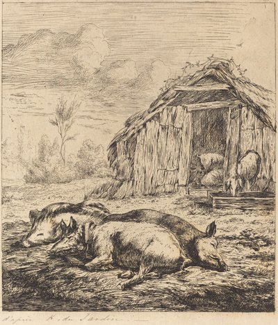 De tre grise, der ligger foran stalden (tre svin, der ligger foran en stald) af Charles Meryon after Karel Dujardin