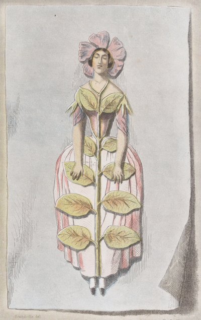 Udtørret Periwinkle, fra Les Fleurs Animées, 1847., 1847. af Charles Michel Geoffroy