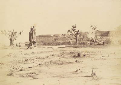 [Ufrugtbart landskab med et uidentificeret fort, Delhi]. af Charles Moravia
