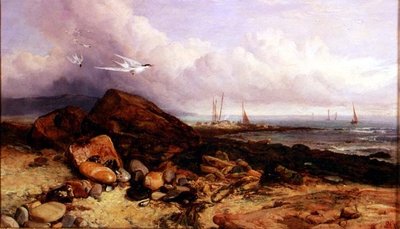Kystscene med fiskerbåd og terner af Charles Napier Hemy