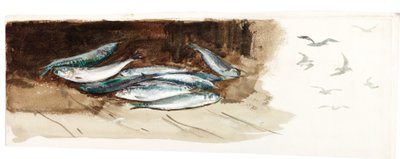 Undersøgelse af fisk (kropsfarve og akvarel på papir) af Charles Napier Hemy