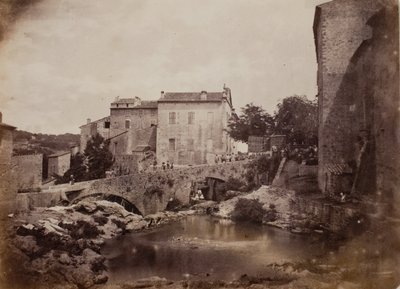 Grasse af Charles Nègre