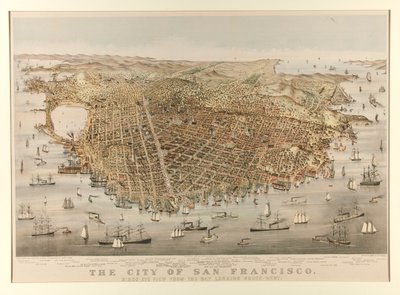 Byen San Francisco - Fugl af Charles Parsons