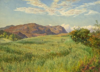 En højlandshavremark af Charles Parsons Knight