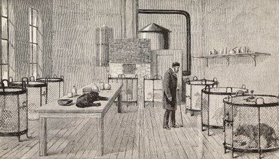 Hunde i bure i laboratoriet hos Louis Pasteur (1822-1895), fransk kemiker og biolog, Paris, Frankrig, stik fra L