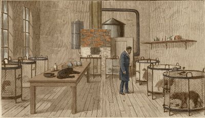 Dogs in cages inside laboratory of Louis Pasteurdani af Charles Paul Renouard