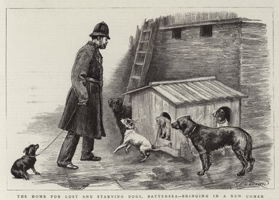 Hjemmet for fortabte og udsultede hunde, Battersea, der bringer en ny ind af Charles Paul Renouard