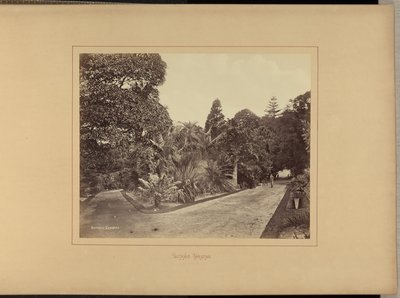 Botanisk Have af Charles Percy Pickering