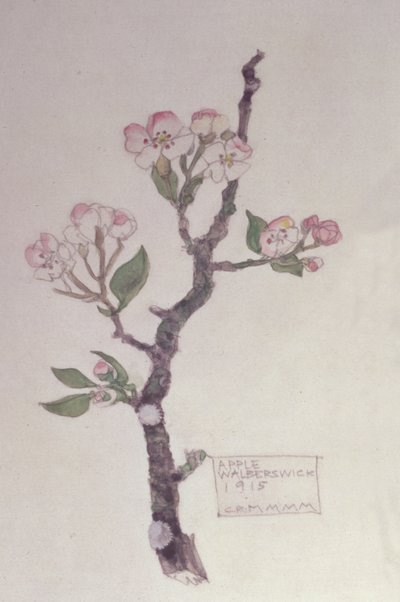 Apple, Walberswick, 1915 (blyant og wc) af Charles Rennie Mackintosh