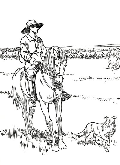 En fårestation i Australien, 1912 af Charles Robinson