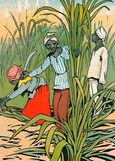 At Work Among The Sugar-Canes, 1912 af Charles Robinson