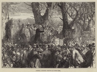 Hospital lørdag møde i Hyde Park af Sir John Charles Robinson