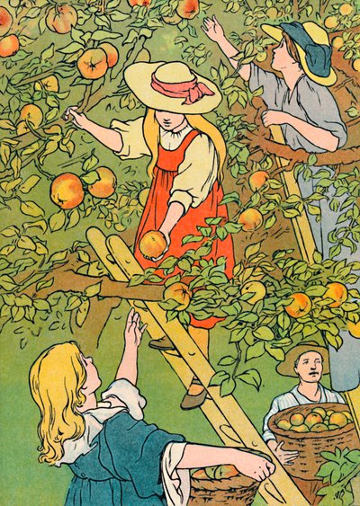 Pluk frugten, 1912 af Charles Robinson