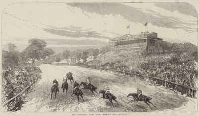 Alexandra Park Races, Muswell Hill af Sir John Charles Robinson