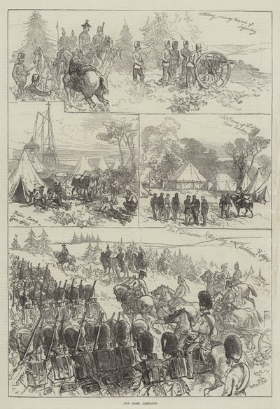 Hjemmekampagnen af Sir John Charles Robinson