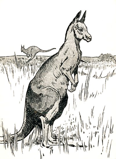 Kænguruen, 1912 af Charles Robinson