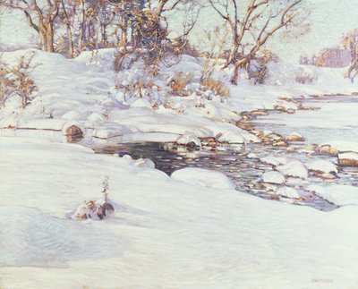 Vinterens sollys af Charles Rosen