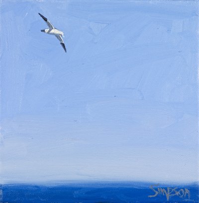 Gannet, 2010 (olie på lærred) af Charles Simpson