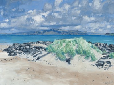 Rocks  Grasses, Iona, 2013 (olie på lærred) af Charles Simpson