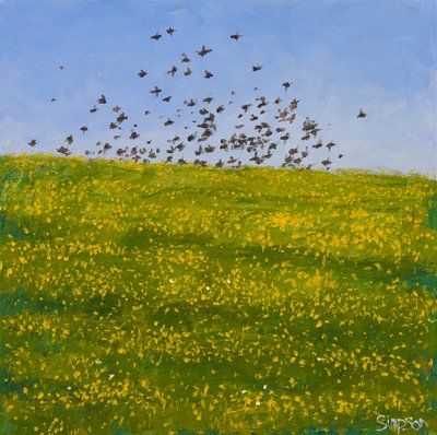 Starlings  Buttercups, Iona, 2015 (olie på lærred) af Charles Simpson