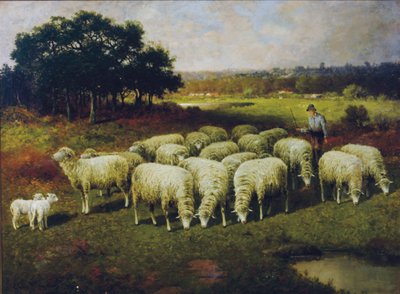 En hyrde med sine får ude på marken, 1898 af Charles T. Phelan