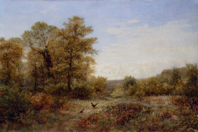 Fasanens hjem (olie på lærred) af Charles Thomas Burt