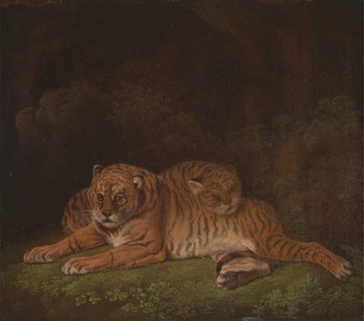 Tigre af Charles Towne
