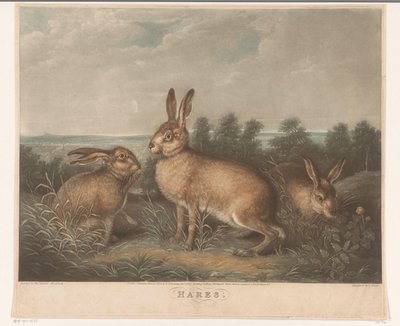 Tre hazen Harer (titel på objekt) af Charles Turner